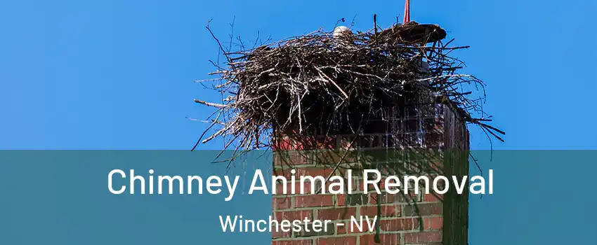  Chimney Animal Removal Winchester - NV