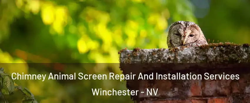  Chimney Animal Screen Repair And Installation Services Winchester - NV