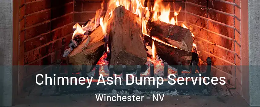  Chimney Ash Dump Services Winchester - NV