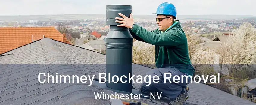  Chimney Blockage Removal Winchester - NV