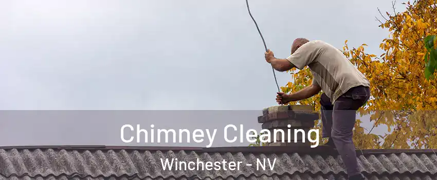  Chimney Cleaning Winchester - NV