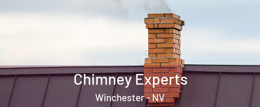 Chimney Experts Winchester - NV