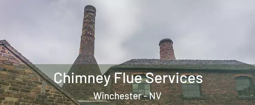 Chimney Flue Services Winchester - NV