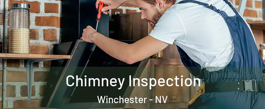  Chimney Inspection Winchester - NV