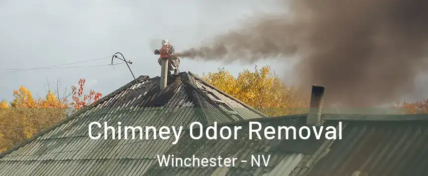  Chimney Odor Removal Winchester - NV