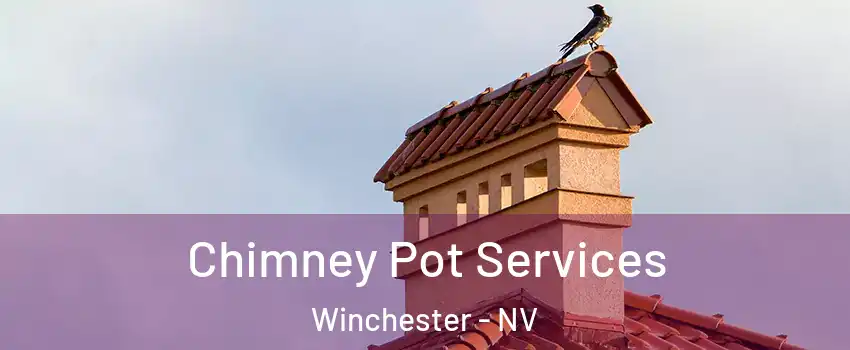  Chimney Pot Services Winchester - NV