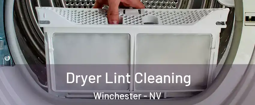  Dryer Lint Cleaning Winchester - NV
