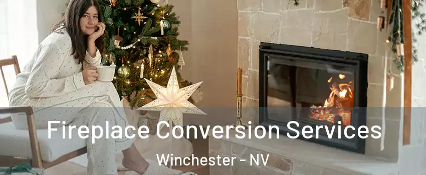  Fireplace Conversion Services Winchester - NV