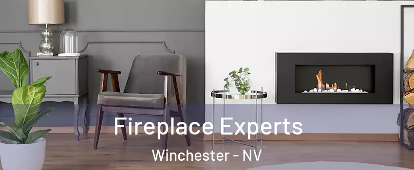  Fireplace Experts Winchester - NV