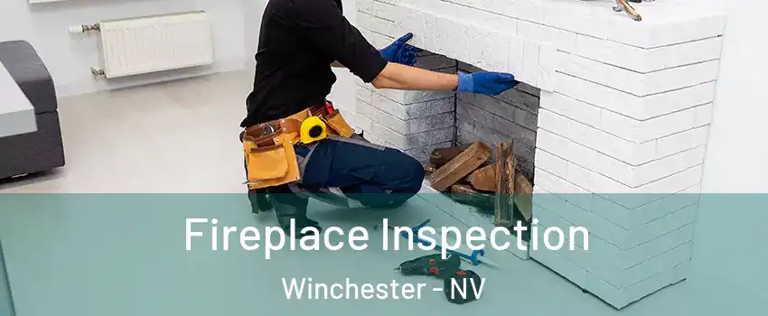  Fireplace Inspection Winchester - NV