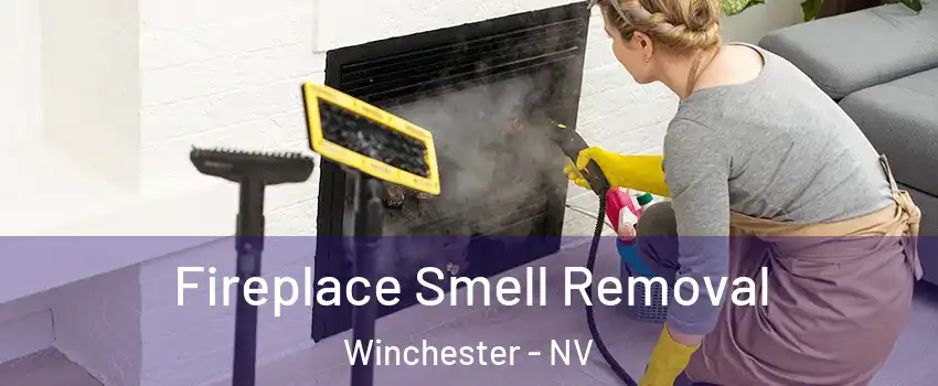  Fireplace Smell Removal Winchester - NV
