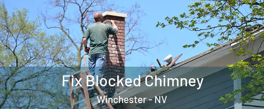  Fix Blocked Chimney Winchester - NV