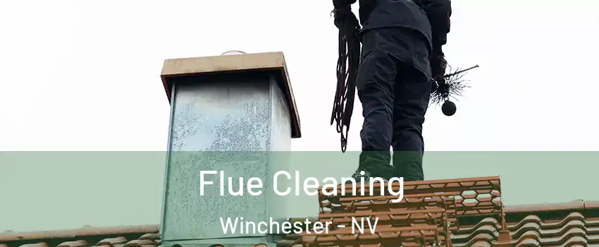 Flue Cleaning Winchester - NV