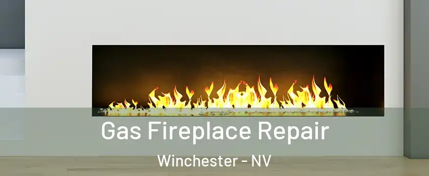  Gas Fireplace Repair Winchester - NV