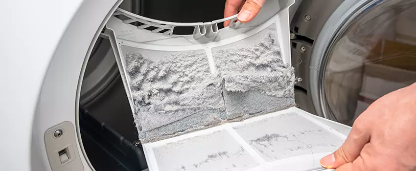 Best Dryer Lint Removal Company in Winchester, Nevada