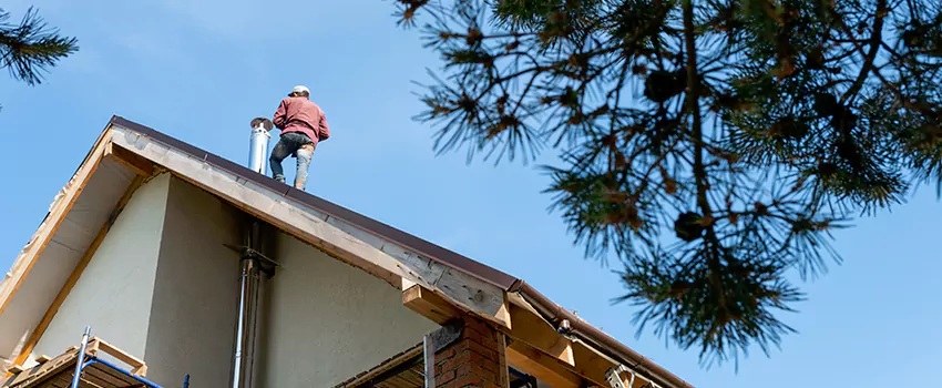Birds Removal Contractors from Chimney in Winchester, NV