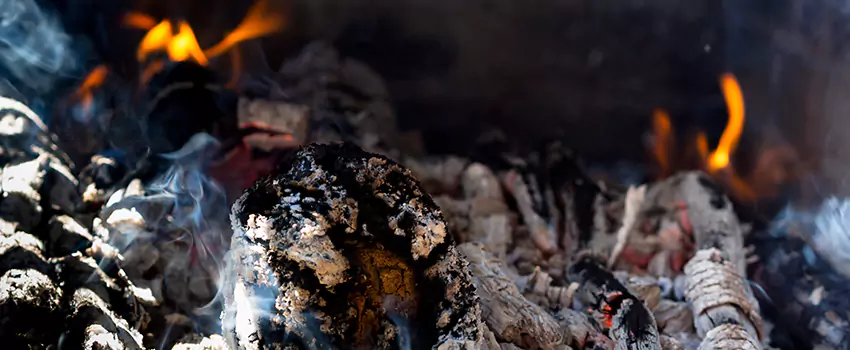Creosote Removal Experts in Winchester, NV