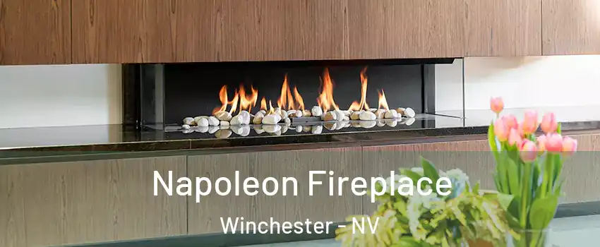  Napoleon Fireplace Winchester - NV